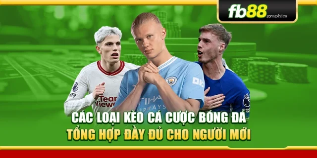 Các Loại Kèo Cá Cược Bóng Đá – Tổng Hợp Đầy Đủ Cho Người Mới
