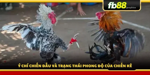 Tinh thần thi đấu và phong độ 
