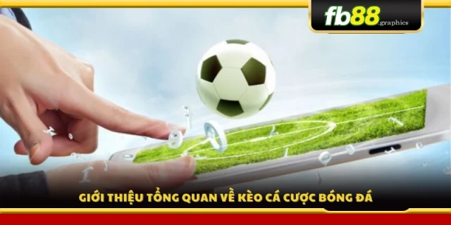 Tổng quan chung về các loại kèo trong cá cược bóng đá
