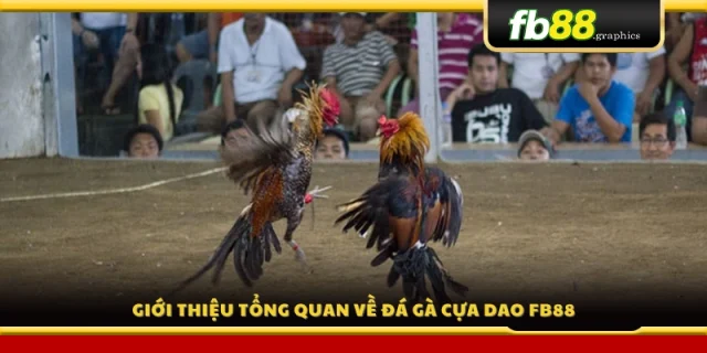 Tổng quan về đá gà cựa dao tại FB88