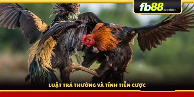 Quy tắc trả thưởng và công thức tính tiền thắng