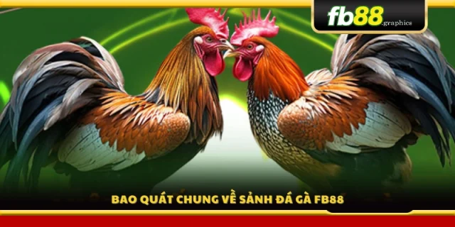 Giới thiệu chung về đá gà FB88
