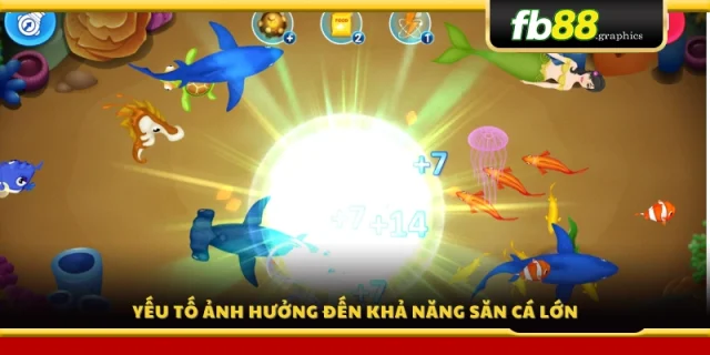 Những yếu tố quyết định tỷ lệ trúng cá lớn